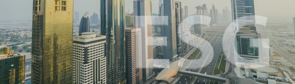 UAE ESG Disclosure Guide 2025: Complete Implementation Handbook